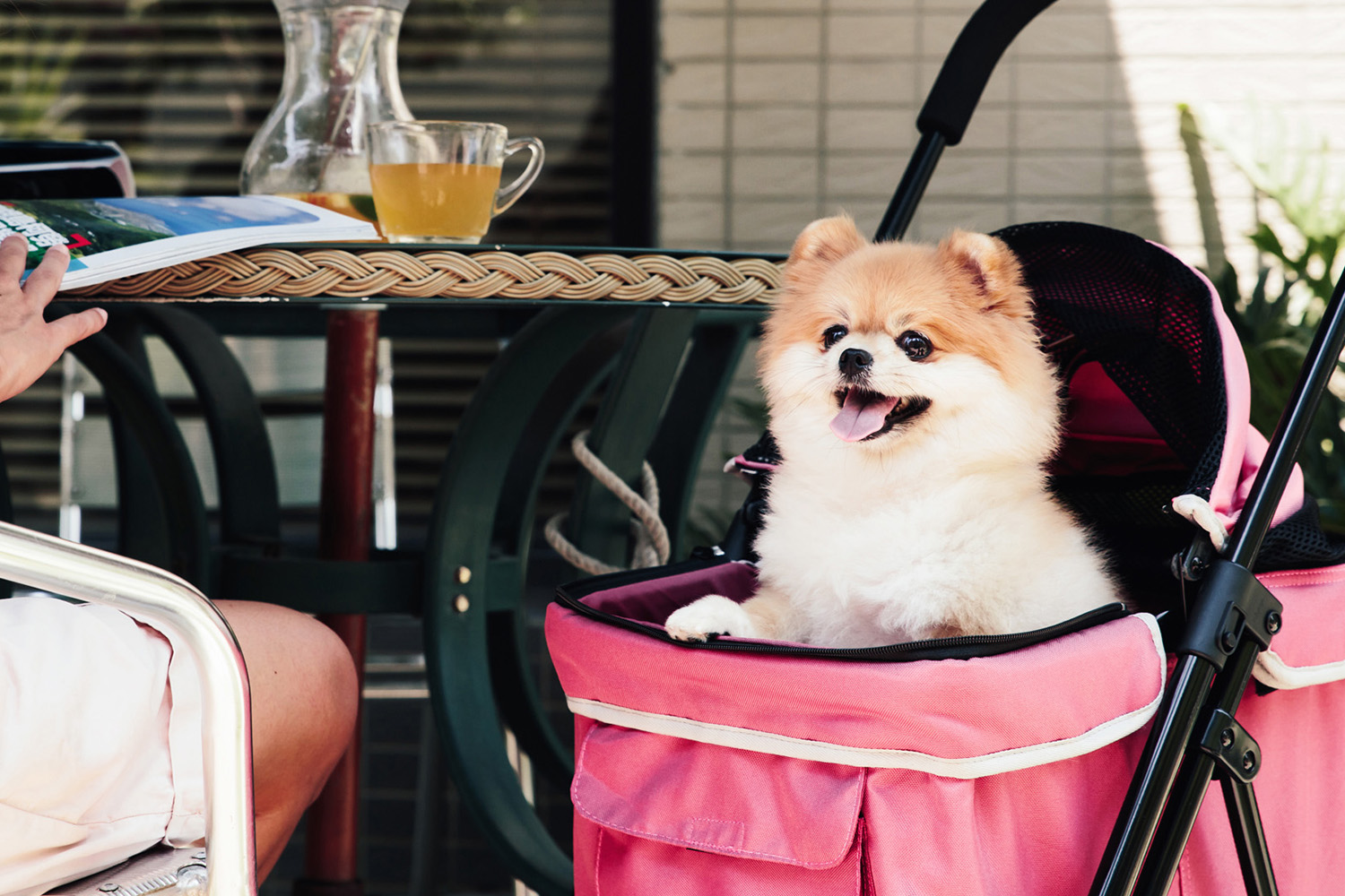 IBIYAYA WÓZEK ASTRO GO RÓŻOWY - obrazek 9