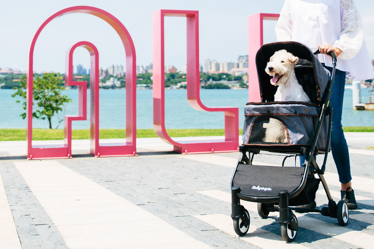 IBIYAYA WÓZEK SPEEDY FOLD - obrazek 14