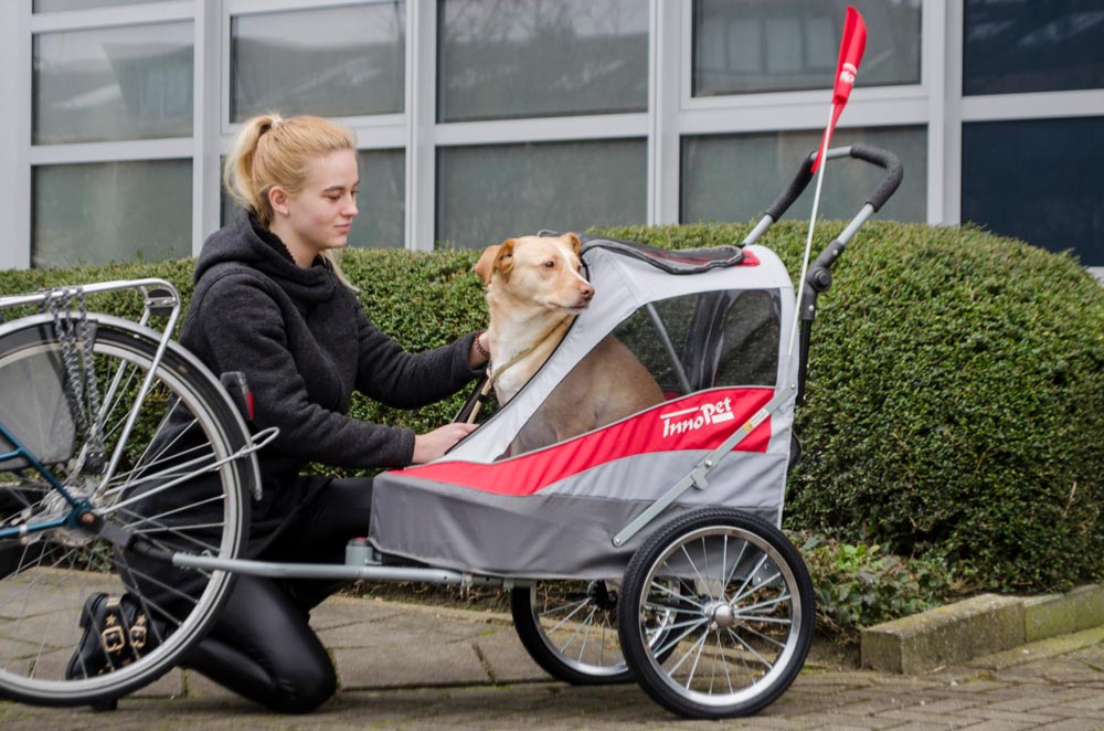 INNOPET WÓZEK DO ROWERU DLA PSA SPORTY DOG TRAILER DELUXE CZERWONY/SZARY - obrazek 6