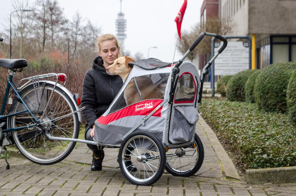 INNOPET WÓZEK DO ROWERU DLA PSA SPORTY DOG TRAILER DELUXE CZERWONY/SZARY - obrazek 5