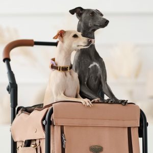 IBIYAYA WÓZEK GENTLE GIANT PET WAGON DIRTY PEACH