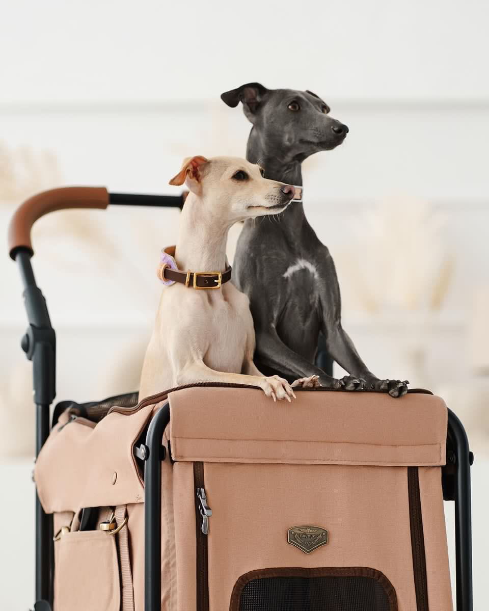 IBIYAYA WÓZEK GENTLE GIANT PET WAGON DIRTY PEACH - obrazek 2