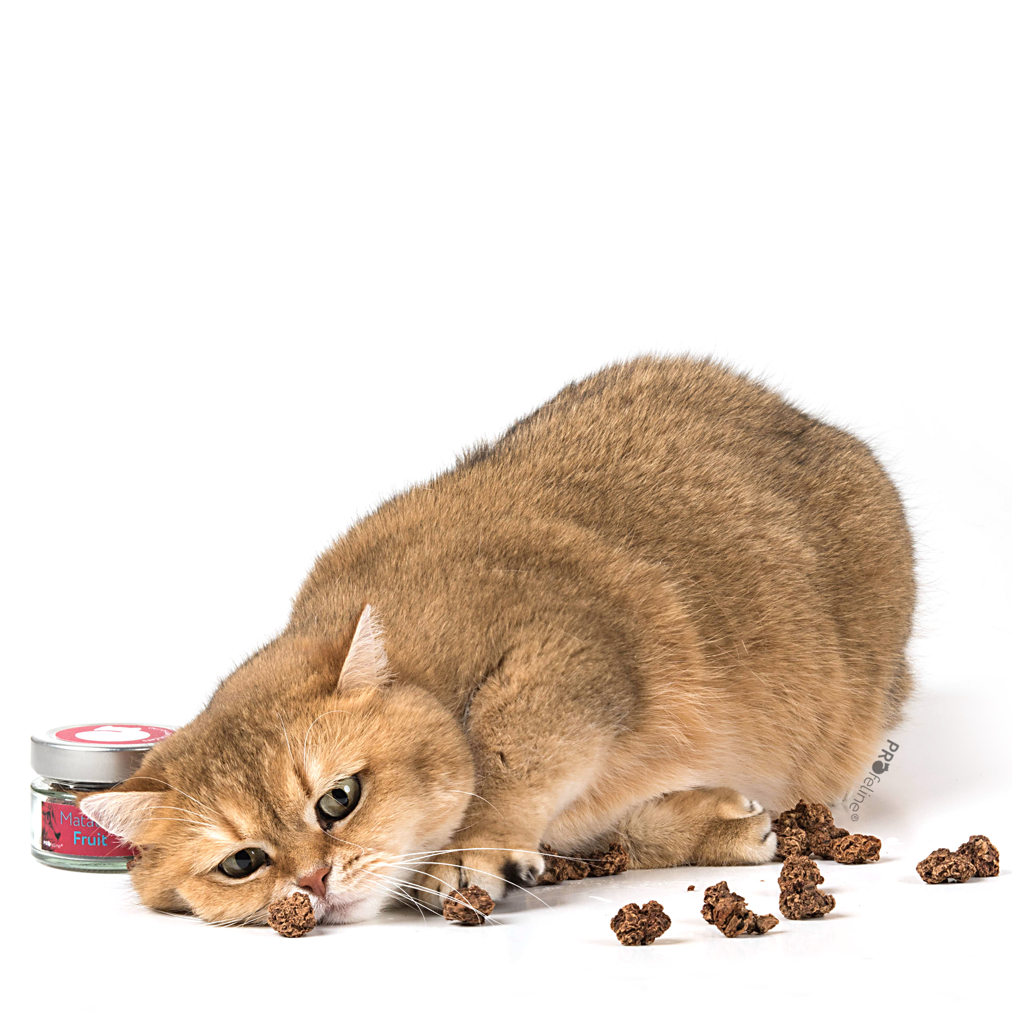 PROFELINE- OWOCE MATATABI - obrazek 2