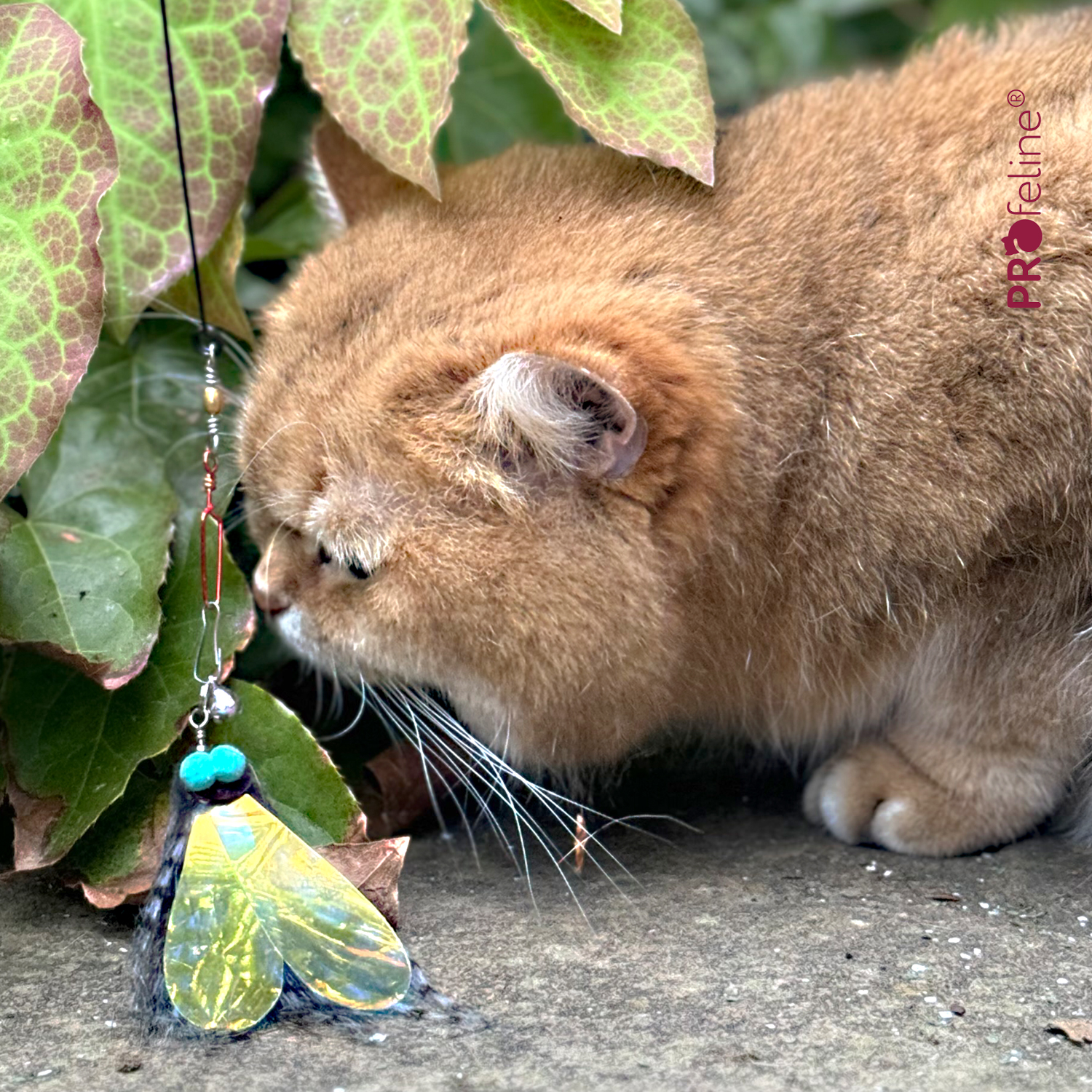 PROFELINE- ZAWIESZKA ŻUK - obrazek 3