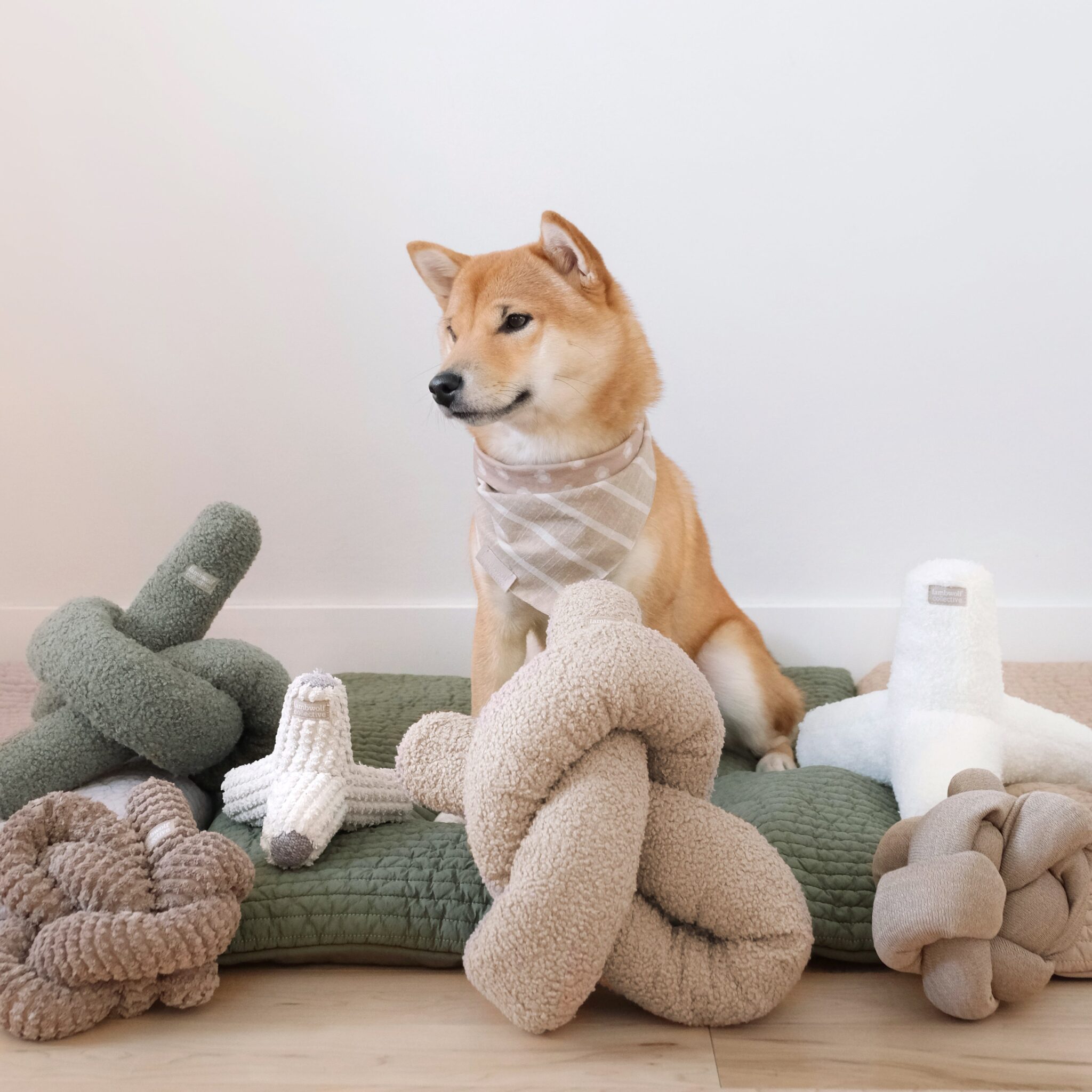 LAMBWOLF- ZABAWKA WĘCHOWA DLA PSA O NOU (DUŻA) - obrazek 4