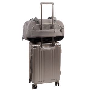 TAVO - TRANSPORTER DUPREE MERLE DLA PSA I KOTA - obrazek 4