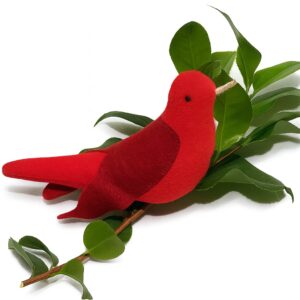 DREAM CAT – KOPACZ PTASZEK