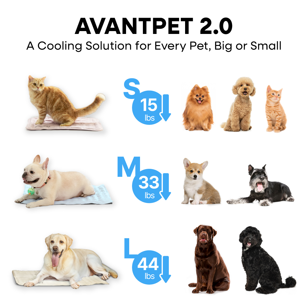 AVANTPET - MATA CHŁODZĄCA - ROZMIAR M NIEBIESKA - obrazek 4