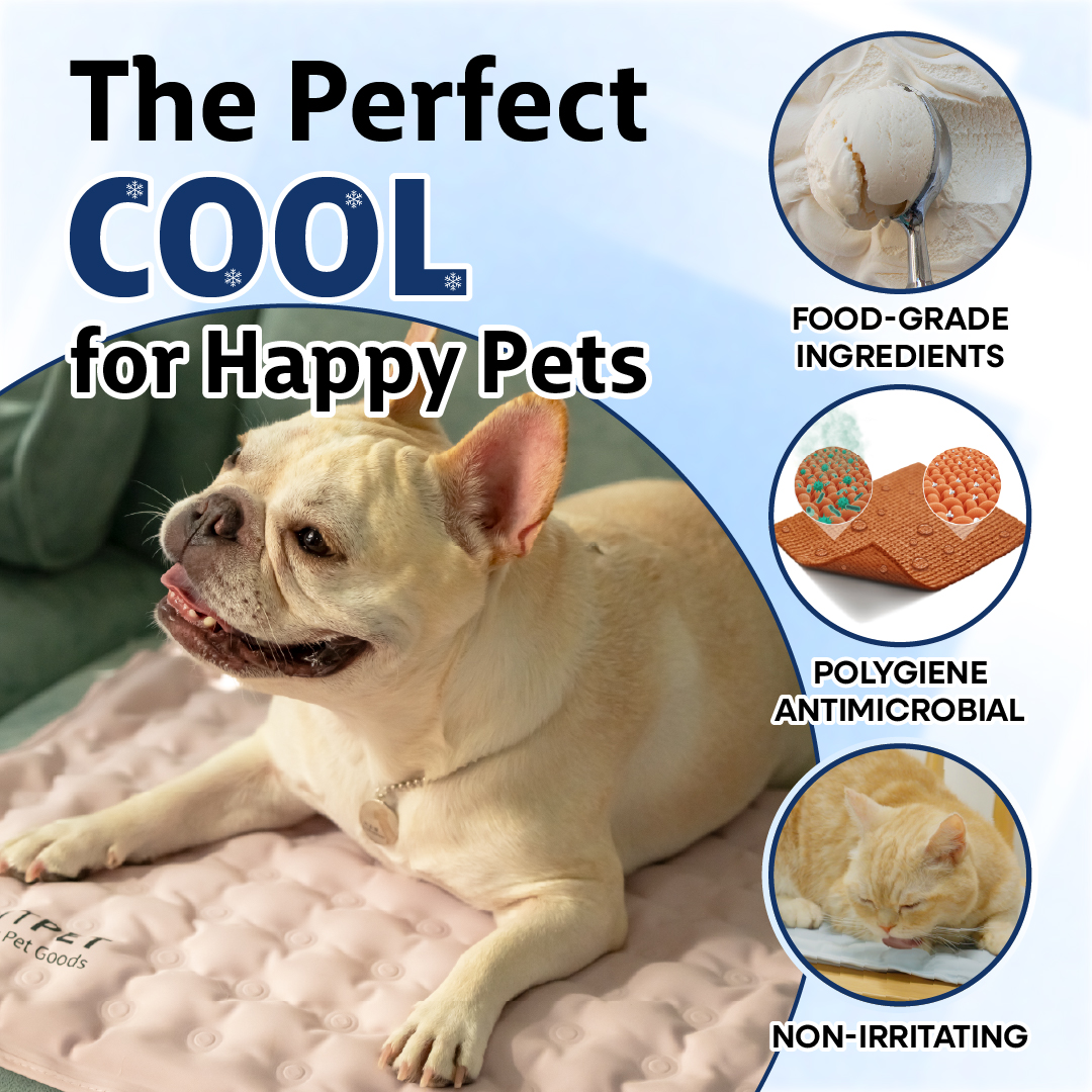 AVANTPET - MATA CHŁODZĄCA - ROZMIAR M NIEBIESKA - obrazek 10