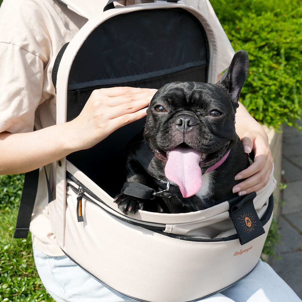 IBIYAYA PLECAK PANORAMA - obrazek 10