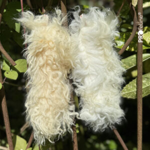 PROFELINE- ZAWIESZKA SKÓRA OWCZA