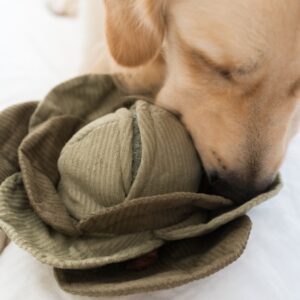 LAMBWOLF- ZABAWKA WĘCHOWA DLA PSA/KOTA KAPUSTA