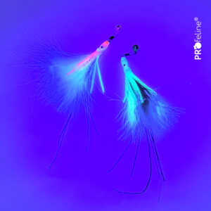 PROFELINE- FLUORESCENCYJNE OŚMIORNICE